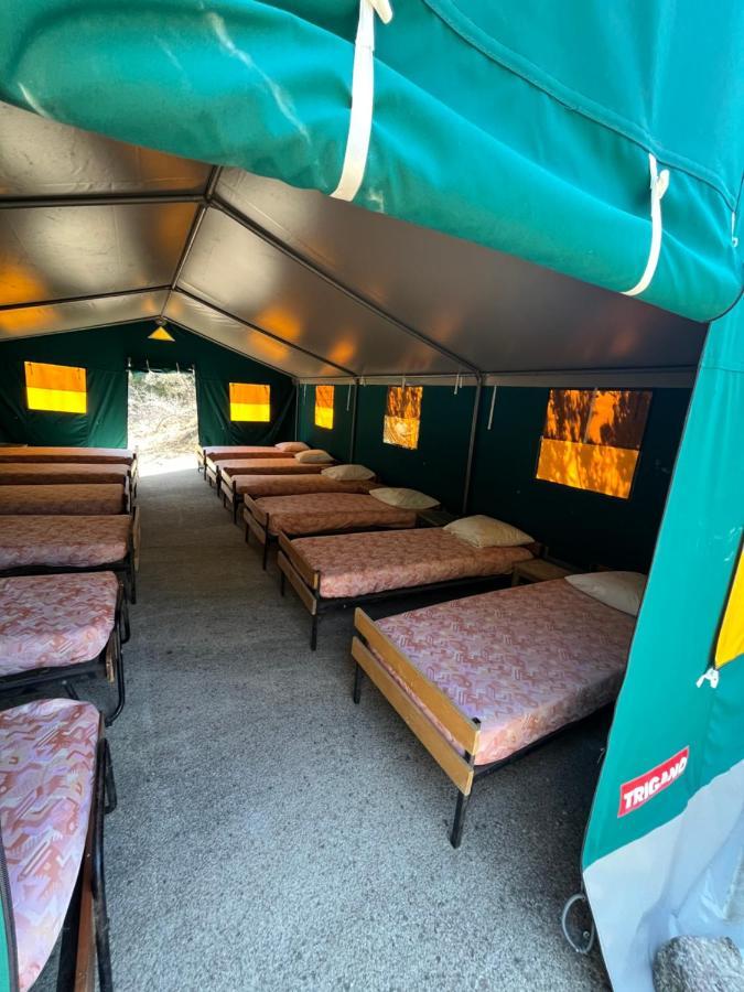 Relais International De La Jeunesse Calvi  Dış mekan fotoğraf