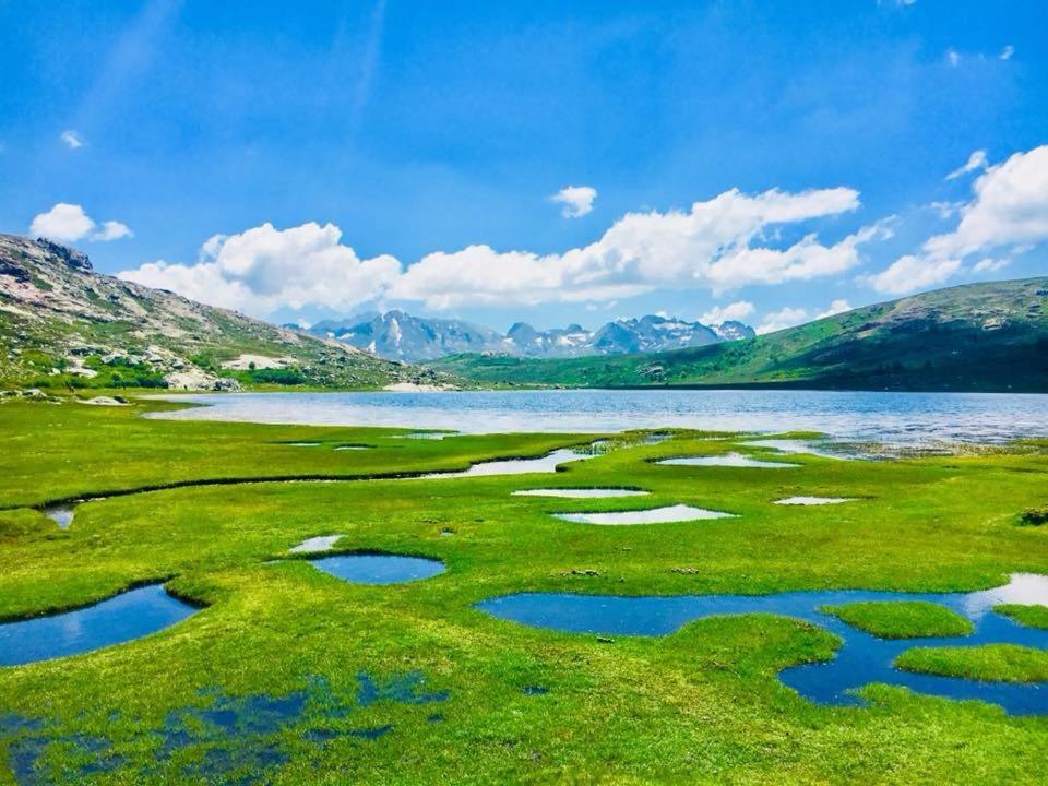 Relais International De La Jeunesse Calvi  Dış mekan fotoğraf
